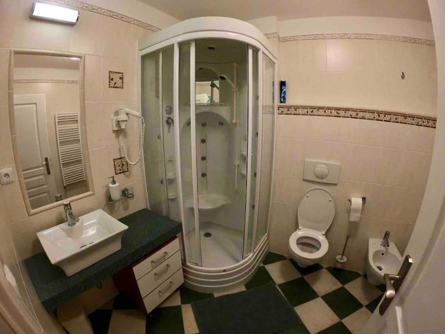 Huge Two Floor Apartment On The Park Colonnade With Free Parking For One Car, 160 Sqm Karlovy Vary Esterno foto